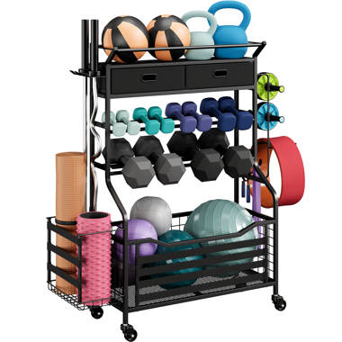 Wayfair cheap dumbbell rack